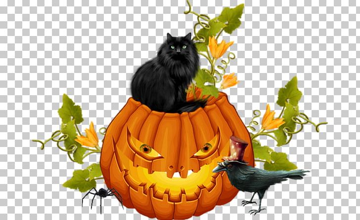 Jack-o'-lantern Whiskers Cat Halloween Winter Squash PNG, Clipart,  Free PNG Download