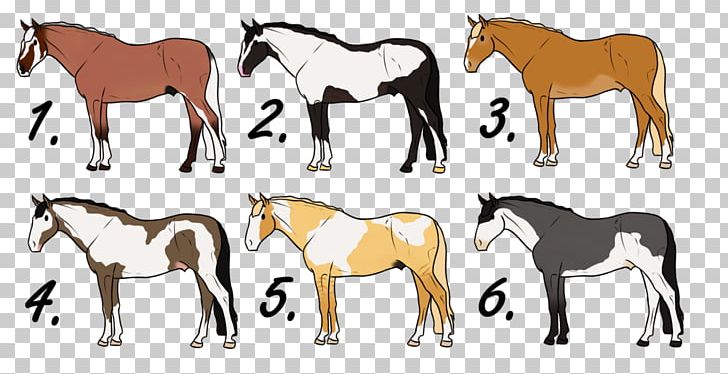 Mustang Foal Stallion Mare Colt PNG, Clipart, Bridle, Colt, English Riding, Equestrian, Foal Free PNG Download