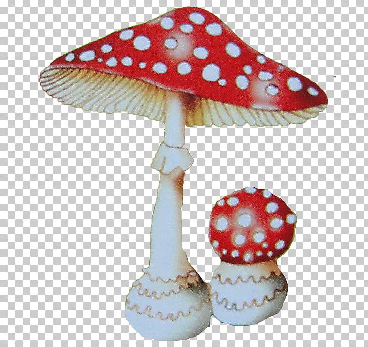 Amanita Fungus Poisonous Mushroom PNG, Clipart, Amanita, Digital Image, Display Resolution, Edible Mushroom, Fungus Free PNG Download