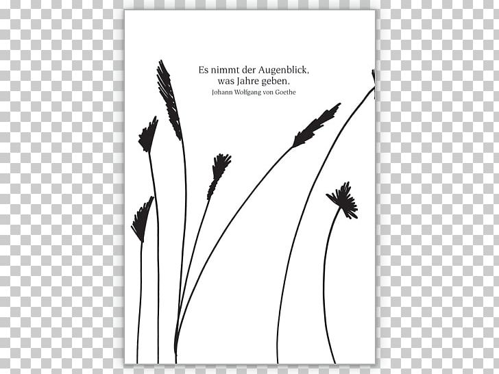 Condolences Mourning Quotation Book Life PNG, Clipart, Bird, Black, Black And White, Branch, Consolation Free PNG Download