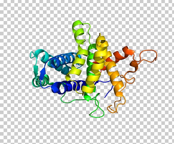 QSOX1 Thiol Oxidase Protein PNG, Clipart, Body Jewelry, Chromosome, Enzyme, Flli Fontana, Food Free PNG Download