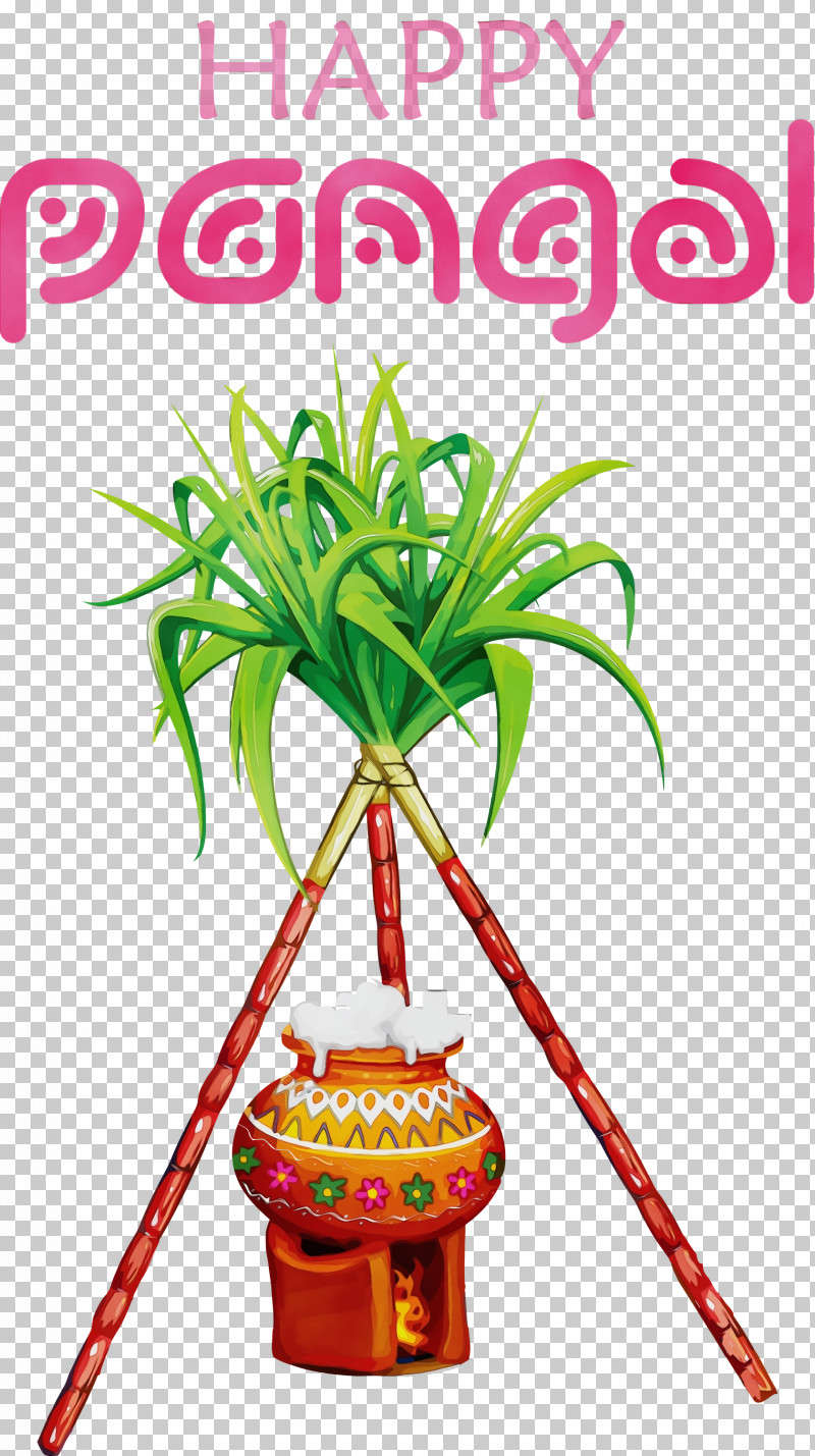 Sugarcane Juice Sugarcane Saccharum Officinarum Sugar Sugarcane Mill PNG, Clipart, Granulated Sugar, Happy Pongal, Paint, Pongal, Saccharum Free PNG Download