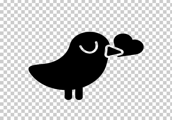 Bird Beak Sparrow Owl PNG, Clipart, Animal, Animals, Beak, Bird, Bird Icon Free PNG Download
