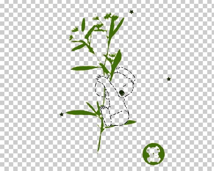 Koala Cuteness Illustration PNG, Clipart, Animals, Area, Background, Background Green, Branch Free PNG Download