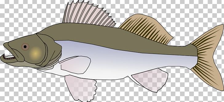 Northern Pike Walleye PNG, Clipart, Animal Figure, Bony Fish, Catfish, Cod, Drawing Free PNG Download