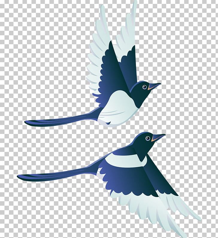 Bird Flight Swallow Mallard White Stork PNG, Clipart, Animals, B 0, Beak, Bird, Bird Flight Free PNG Download