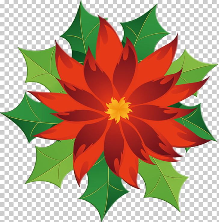 Christmas Poinsettia PNG, Clipart, Christmas, Christmas Decoration, Document, Download, Flora Free PNG Download