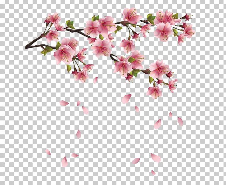 Flower Spring Branch PNG, Clipart, Blossom, Branch, Cherry Blossom, Deco, Desktop Wallpaper Free PNG Download