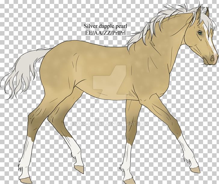 Foal Stallion Mare Mustang Colt PNG, Clipart, Bridle, Cartoon, Colt, Fauna, Fictional Character Free PNG Download