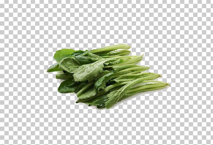 Napa Cabbage Vegetable Chinese Broccoli PNG, Clipart, Background Green, Brassica Oleracea, Cabbage, Chinese, Chinese Broccoli Free PNG Download