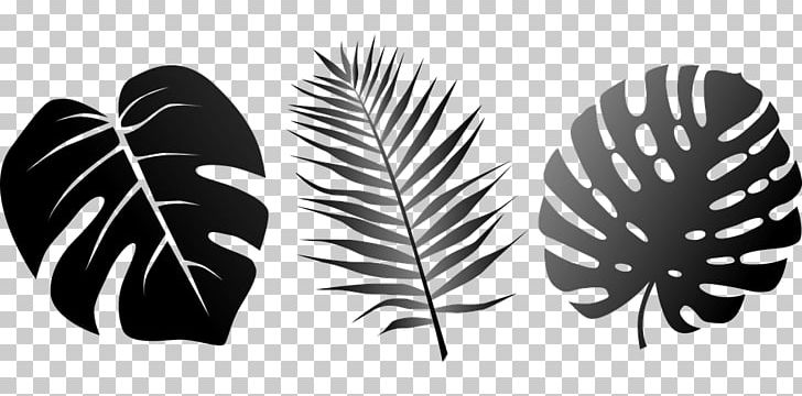 Stencil Leaf PNG, Clipart, Black And White, Digital Image, Feather, Geographic Information System, Leaf Free PNG Download
