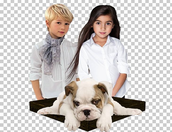 Dog Breed Puppy Child Companion Dog PNG, Clipart, Animals, Beach, Breed, Carnivoran, Cat Free PNG Download