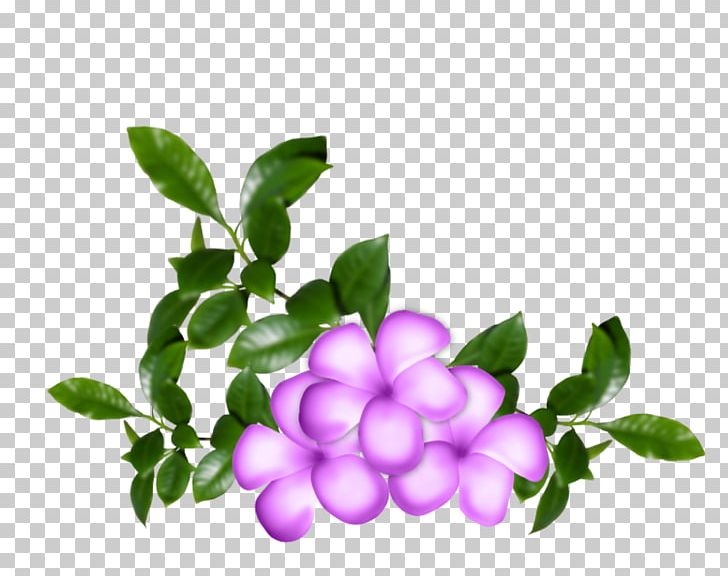 Flower PNG, Clipart, Blog, Blume, Cicekler, Emphasis, Flatcast Free PNG Download