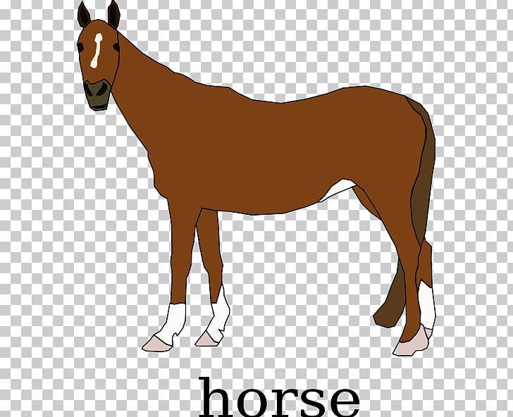 Clydesdale Horse Pony PNG, Clipart, Black, Bridle, Clydesdale Horse, Collection, Colt Free PNG Download