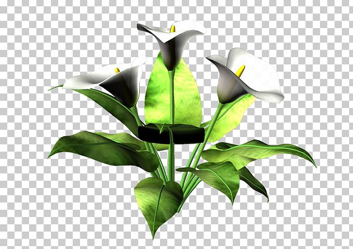 Cut Flowers Flowerpot Plant Stem Leaf PNG, Clipart, Cut Flowers, Flora, Flower, Flowering Plant, Flowerpot Free PNG Download