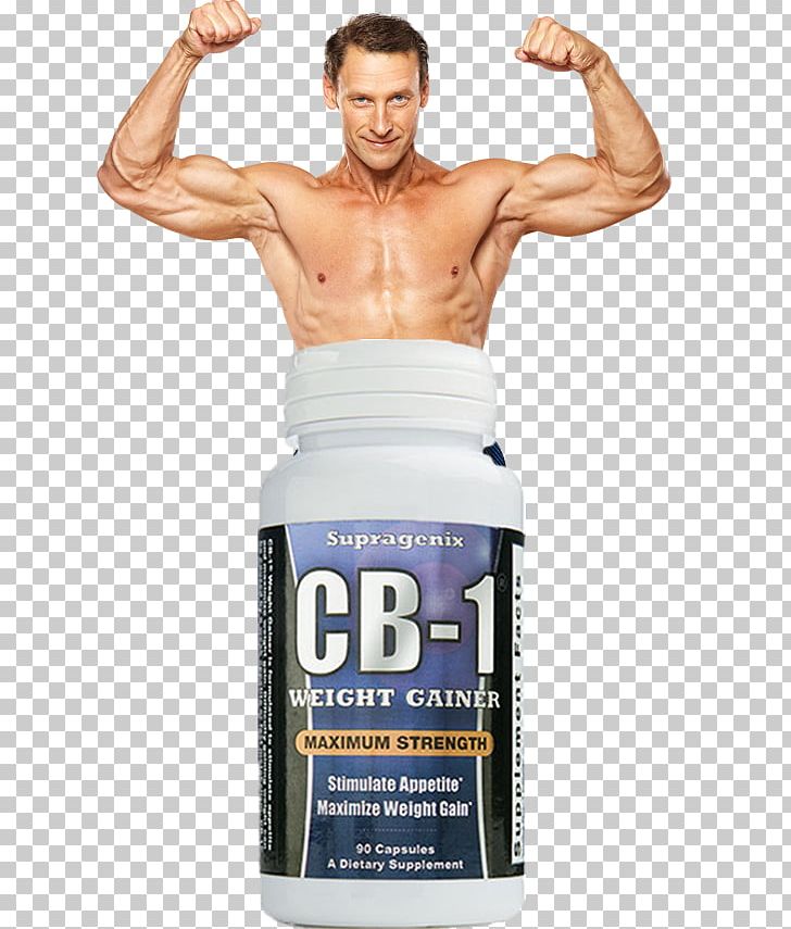 Dietary Supplement Muscle Hypertrophy Bodybuilding Supplement Weight Gain PNG, Clipart,  Free PNG Download
