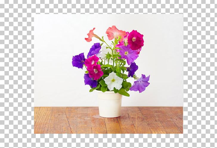 Petunia Gardening Impatiens Flowerpot PNG, Clipart, Artificial Flower, Cut Flowers, Floral Design, Floristry, Flower Free PNG Download