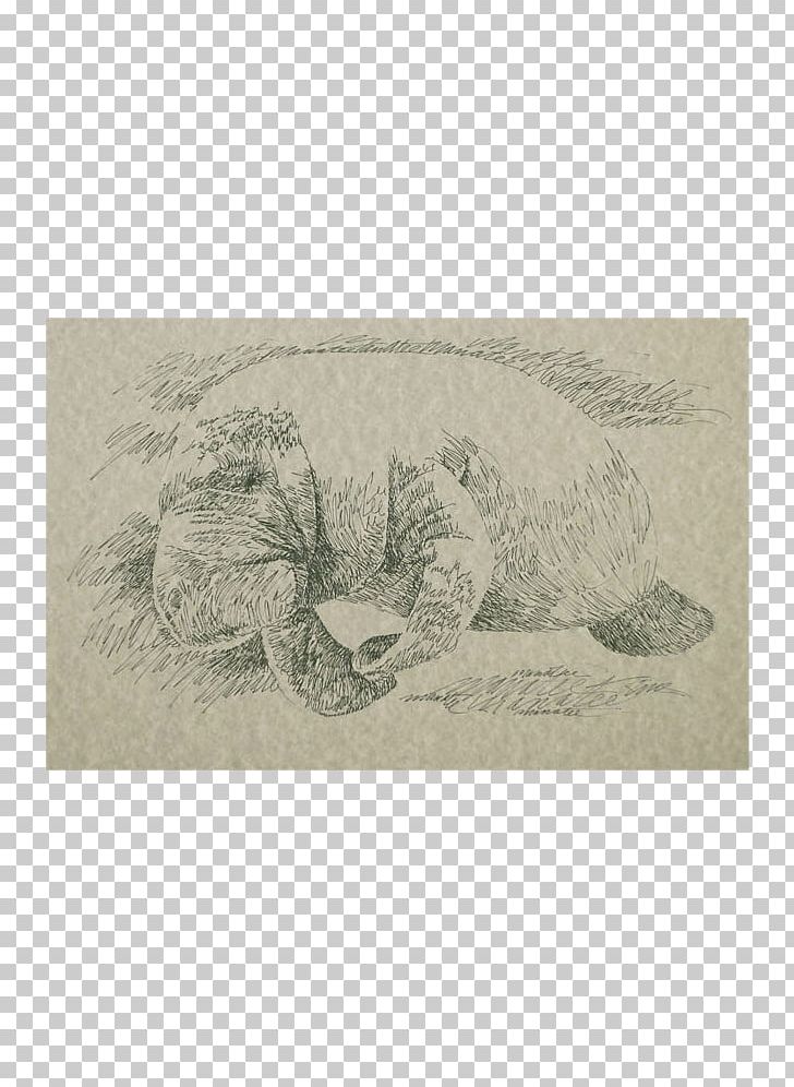 Reptile Florida West Indian Manatee Mug Sea Cows PNG, Clipart, Artwork, Drawing, Fauna, Florida, Mug Free PNG Download