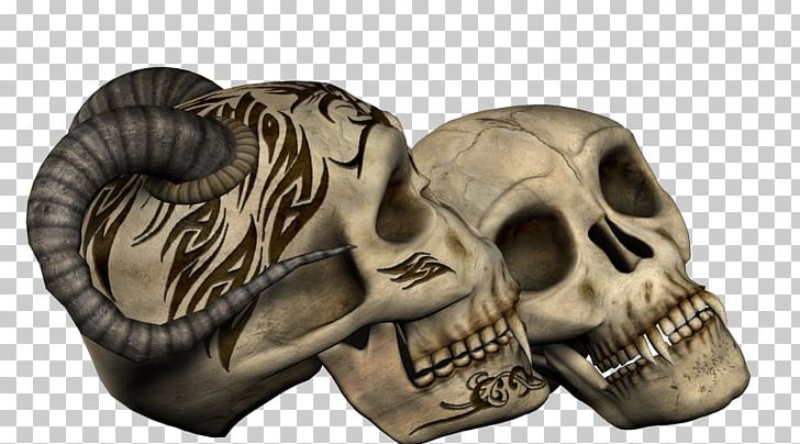 Skull Skeleton Gothic Art Photography PNG, Clipart, Albom, Album, Bone, Cemetery, Fantasy Free PNG Download
