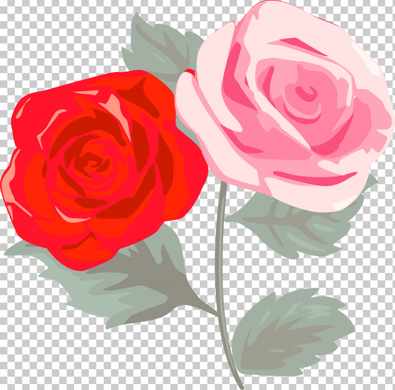 Garden Roses PNG, Clipart, Cut Flowers, Floribunda, Flower, Garden Roses, Hybrid Tea Rose Free PNG Download