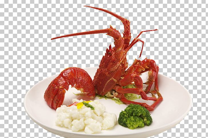 Australia Wine Champagne Lobster Seafood PNG, Clipart, Animals, Animal Source Foods, Australia, Beautifully, Beautifully Garland Free PNG Download