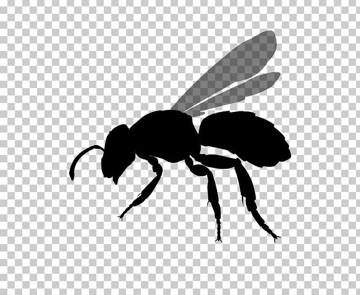 Bee Hornet Insect Yellowjacket PNG, Clipart, Arthropod, Bee, Black And White, Dragonfly, Fly Free PNG Download