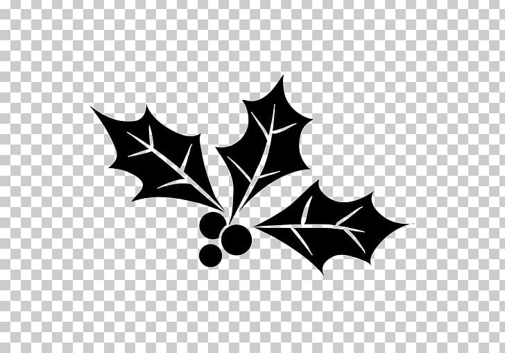 Mistletoe Christmas Holly Phoradendron Tomentosum PNG, Clipart, Black And White, Branch, Christmas, Christmas Stockings, Christmas Tree Free PNG Download