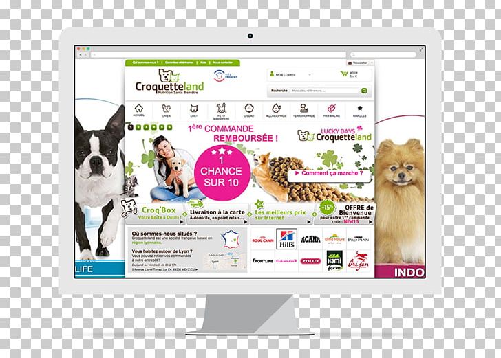 Dog Display Advertising Brand Multimedia PNG, Clipart, Advertising, Animals, Brand, Canidae, Croquette Free PNG Download