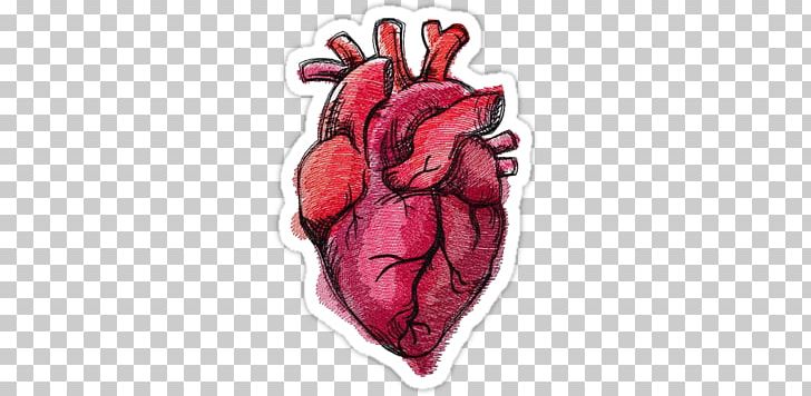 Drawing Heart Anatomy Painting PNG, Clipart, Anatomy, Art, Colored Pencil, Drawing, Eye Free PNG Download