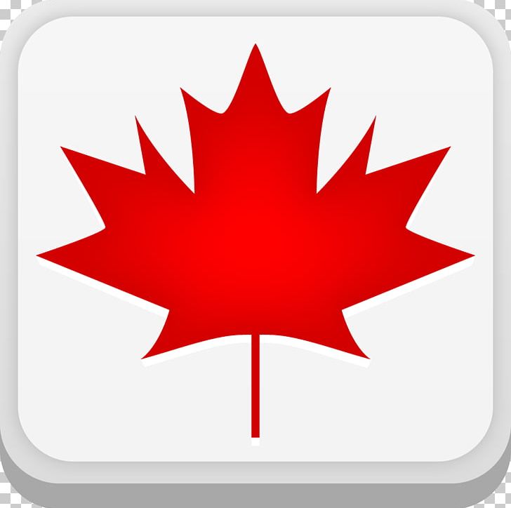 Flag Of Canada 150th Anniversary Of Canada Maple Leaf PNG, Clipart, 150th Anniversary Of Canada, Canada, Canada Day, Canadian, Fantasy Free PNG Download