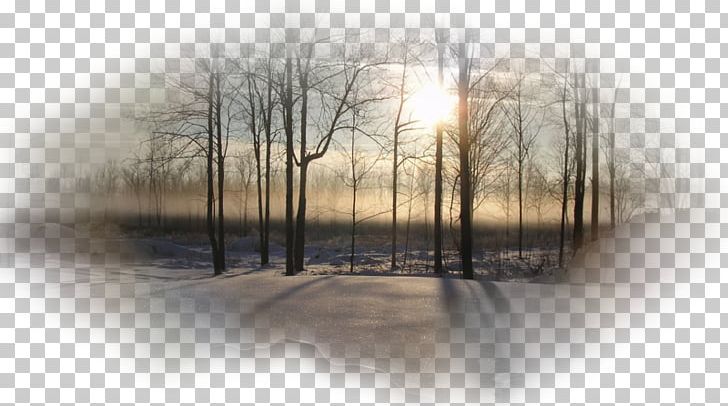 Fog Mist Desktop Winter Stock Photography PNG, Clipart,  Free PNG Download