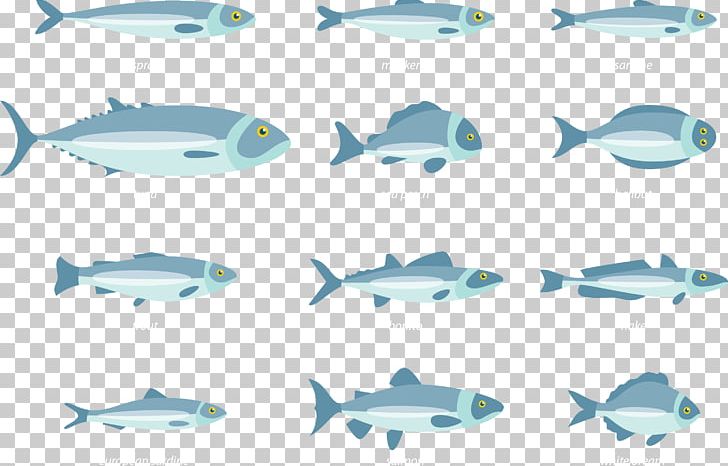 Fish Euclidean PNG, Clipart, Animals, Aqua, Aquarium Fish, Blue, Cartilaginous Fish Free PNG Download