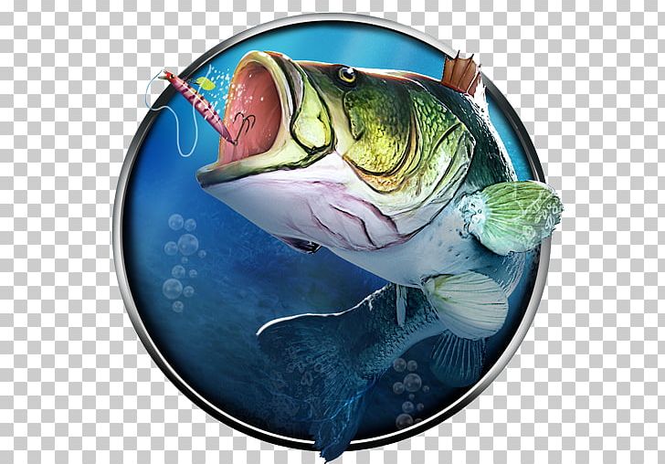 Fishing Clash: Bass Fishing 3D. Fish Hunting Games Catch Big Fish  Recreational Fishing Northern Pike PNG