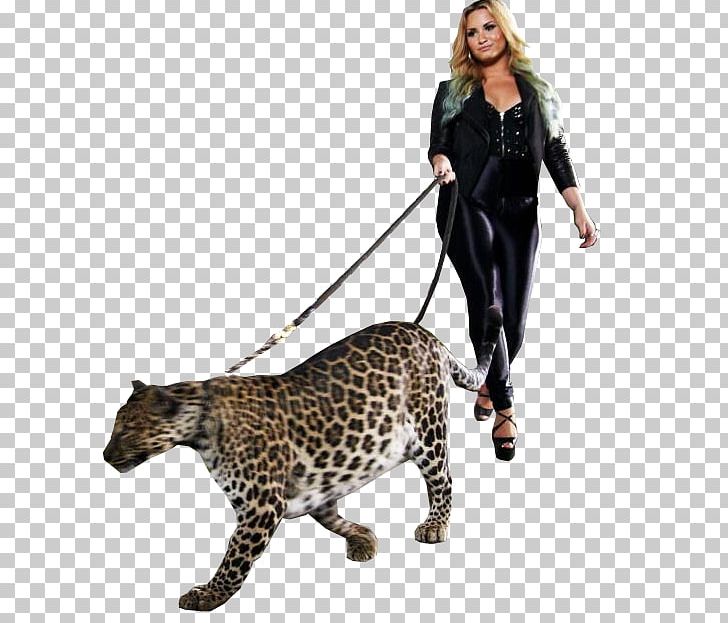 Leopard Jaguar PNG, Clipart, Animals, Art, Big Cats, Cat Like Mammal, Cheetah Free PNG Download