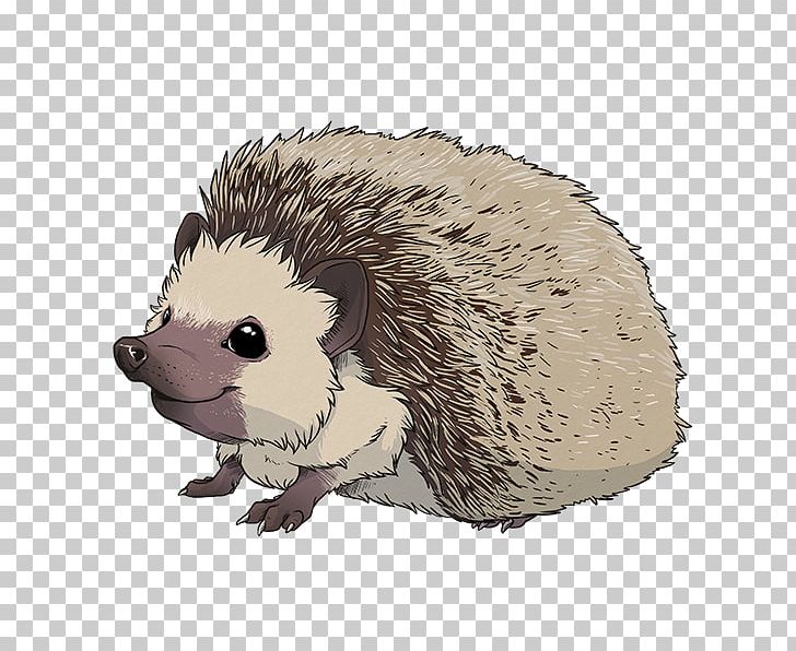 Hedgehog Care Sticker Sea Lion Pet PNG, Clipart, Animal, Animals, Carnivoran, Com, Common Opossum Free PNG Download