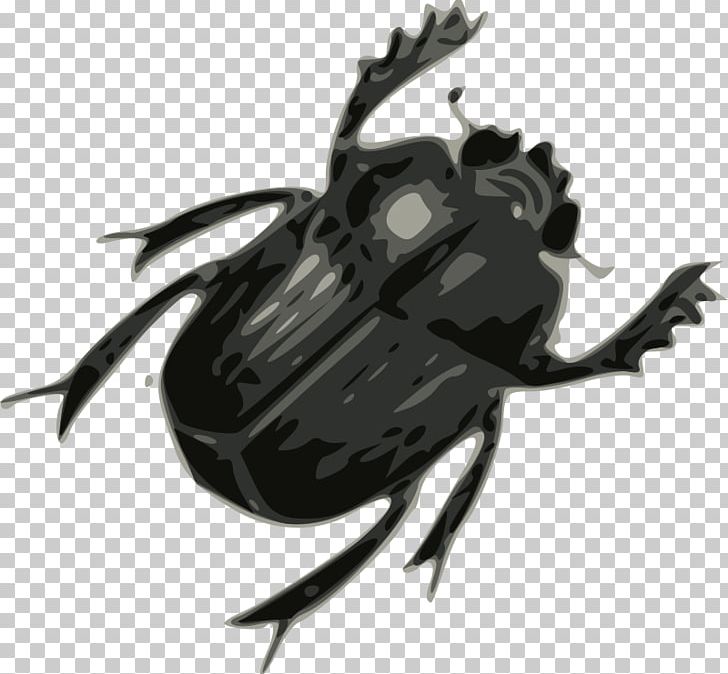 Insect PNG, Clipart, Abbey Road, Arthropod, Beetle, Black And White, Bugs Free PNG Download