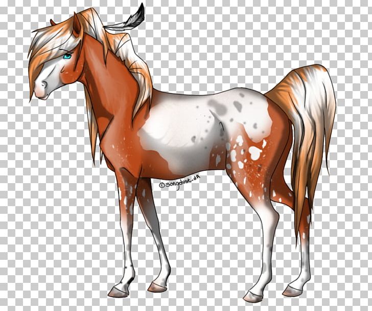 Mustang Stallion Mane Foal Mare PNG, Clipart, Colt, Drawing, Equestrian, Foal, Halter Free PNG Download