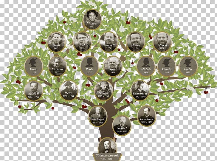 David Family Tree Child PNG, Clipart, Child, David, Diagram, Family, Family Tree Free PNG Download