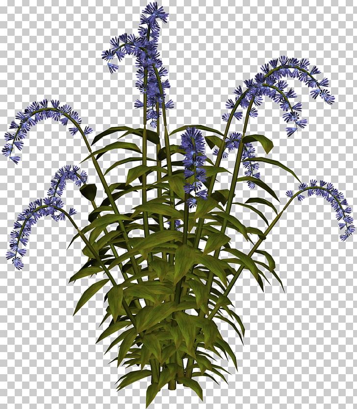 IFolder Flowering Plant Plant Stem PNG, Clipart, Archive File, Cicek Resimler, Flower, Flowering Plant, Fruit Free PNG Download