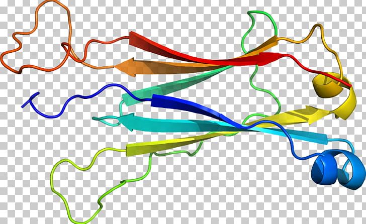 Line Point PNG, Clipart, Area, Art, Line, Organism, Point Free PNG Download