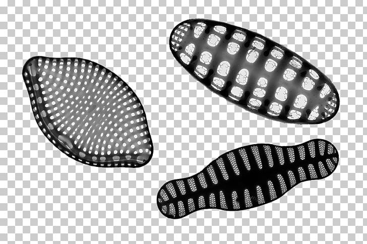 Southern Ocean Phytoplankton Diatom PNG, Clipart, Algae, Automotive Lighting, Auto Part, Background, Black And White Free PNG Download
