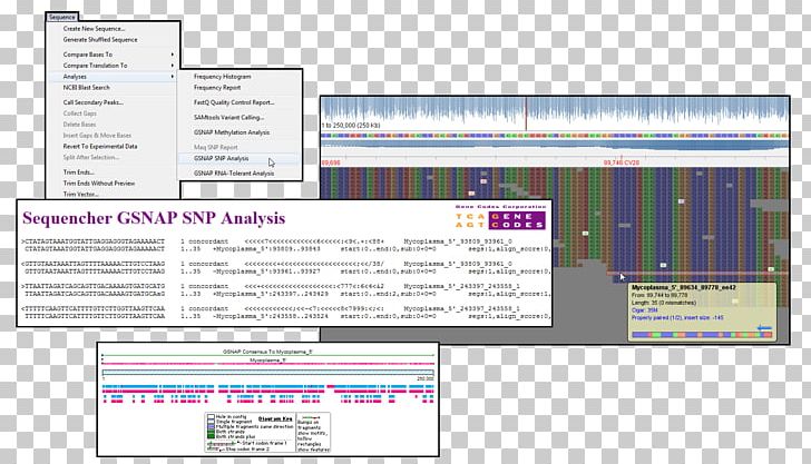 Single-nucleotide Polymorphism Sequence Assembly Nucleic Acid Sequence DNA Sequencing Gene Codes Corporation PNG, Clipart, Cancer, Dna, Dna Sequencing, Dnastar, Gene Free PNG Download