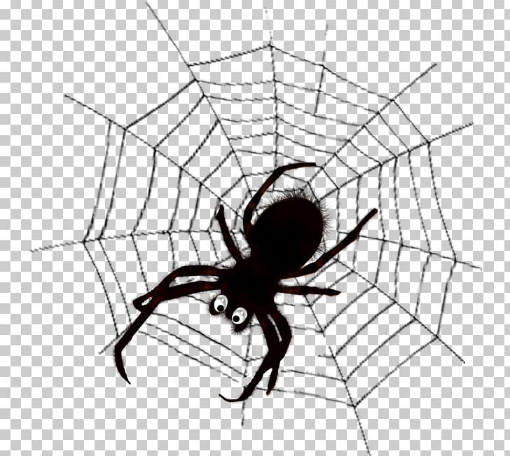 Spider Web Spider Silk PNG, Clipart, Area, Arthropod, Artwork, Black And White, Cobweb Free PNG Download