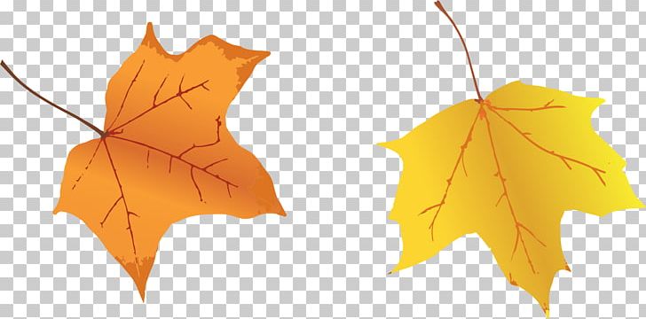 Autumn Leaf PNG, Clipart, Autumn, Autumn Leaf Color, Autumn Leaves, Blade, Higan Free PNG Download