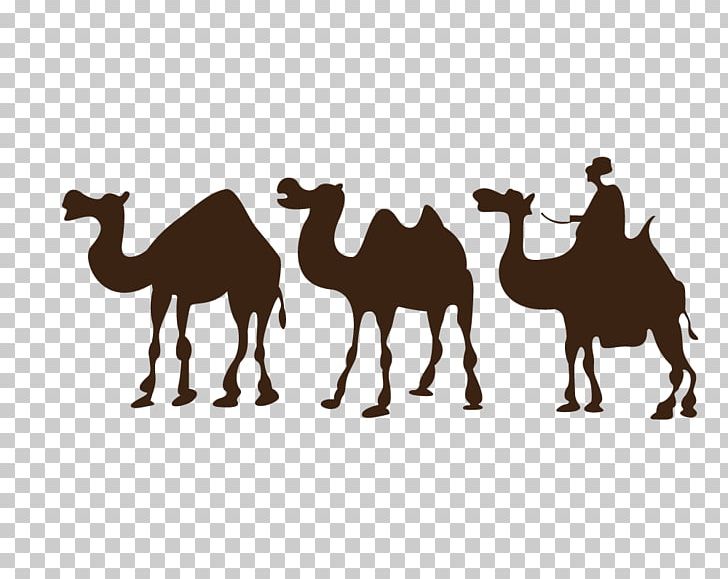 Camel Desert Drawing PNG, Clipart, Animals, Arabian Camel, Art, Camel, Camel Like Mammal Free PNG Download