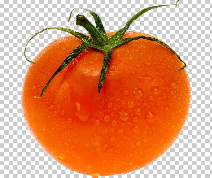 Tomato Stock Photography Vegetable PNG, Clipart, Citrus, Clementine, Designer, Diet Food, Download Free PNG Download