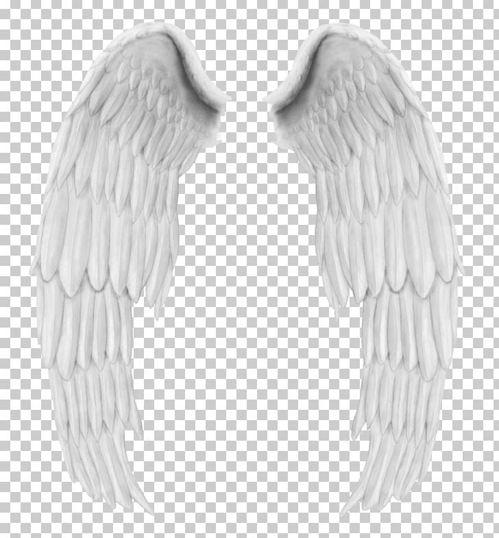 Angel Wings Buffalo Wing PNG, Clipart, Angel, Angel Wings, Beak, Bird, Bird Of Prey Free PNG Download