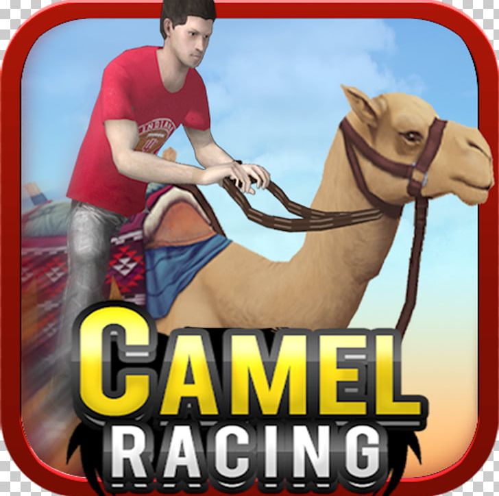 Colin McRae: Dirt Racing Video Game Stunts PNG, Clipart, 3 D, Auto Racing, Camel, Camel Like Mammal, Car Free PNG Download