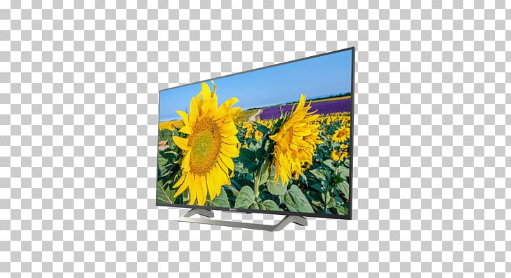 Sony KD PNG, Clipart, 4k Resolution, Advertising, Android Tv, Bravia, Display Advertising Free PNG Download