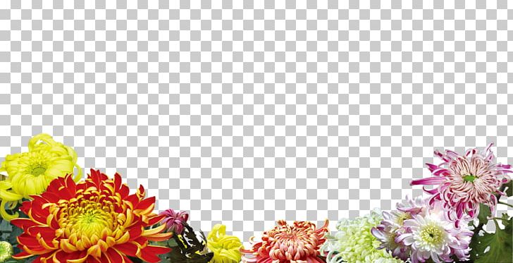Flower Poster PNG, Clipart, Chrysanthemum, Chrysanths, Color Splash, Computer Wallpaper, Cut Flowers Free PNG Download
